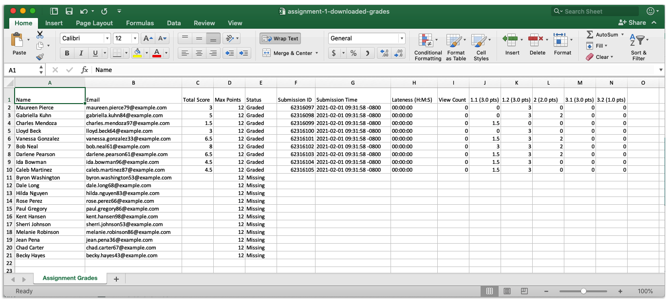 Instructor viewing downloaded grade excel doc