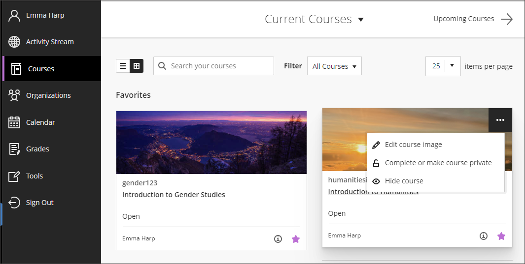 Image of the Courses page of the base navigation. The Introductions to Humanities course has the ellipse menu open.