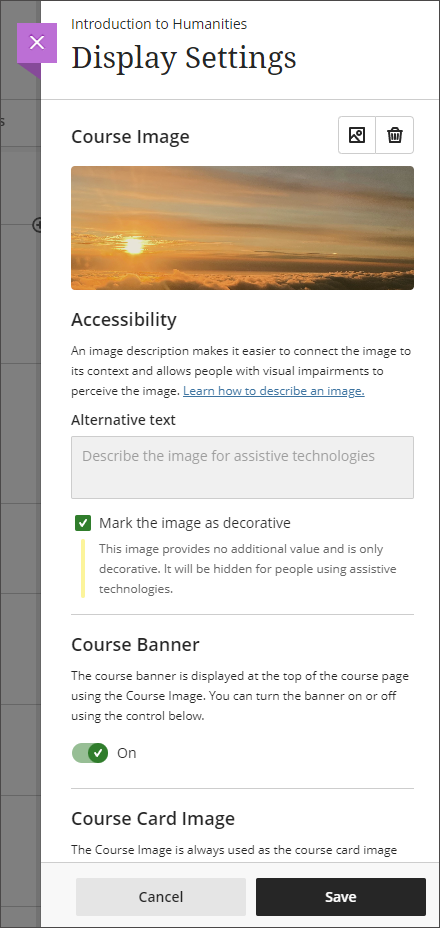 Image of the Display Settings Panel, showing the course banner image above the different settings.
