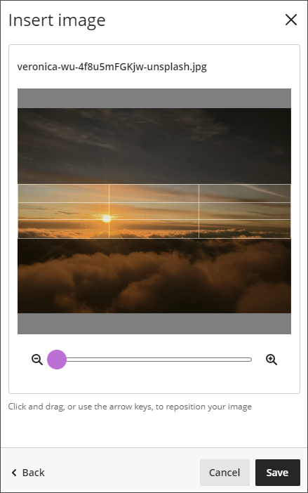 The Insert Image window, showing a size slider below the image preview.