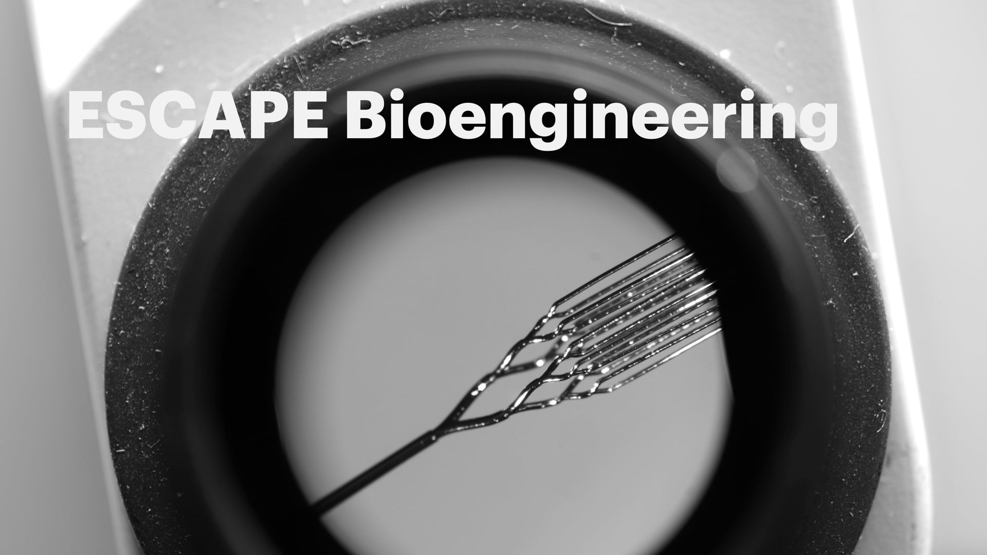 Escape Bioengineering
