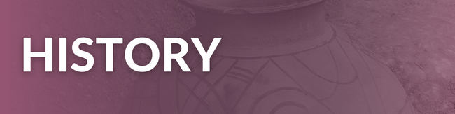 Image of purple "History" banner