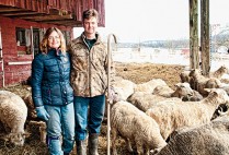 Caroline Fiske Owens and her husband David with sheep on their farm