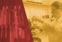 Research Series