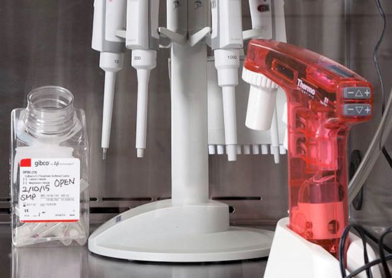 Details of a lab at BU’s Center for Regenerative Medicine.