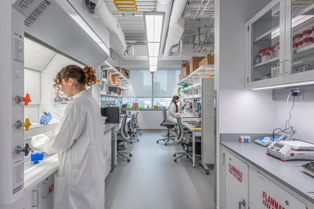 Younger Lab