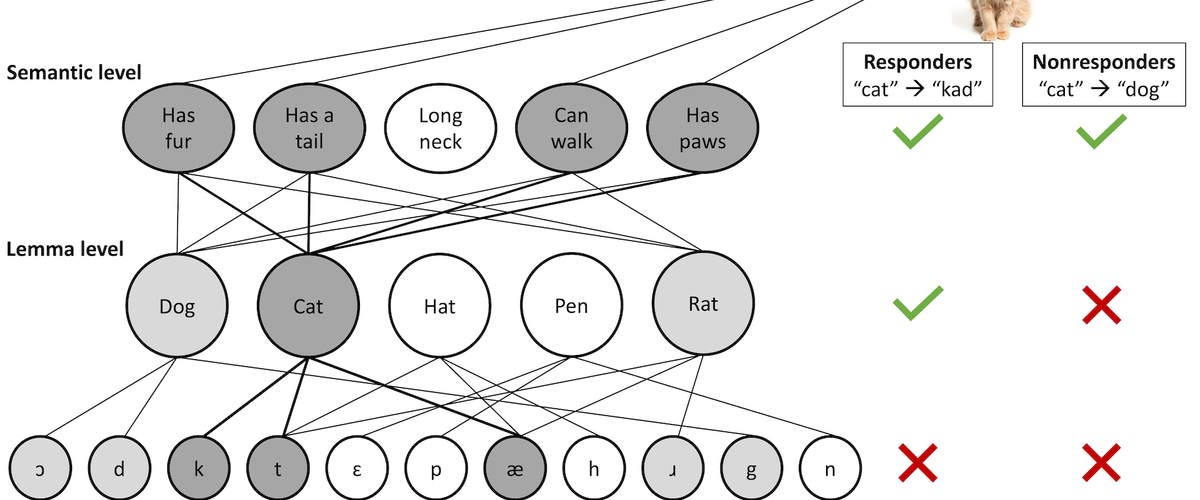Semantic Level, Lemma Level, and Phonologic level processing