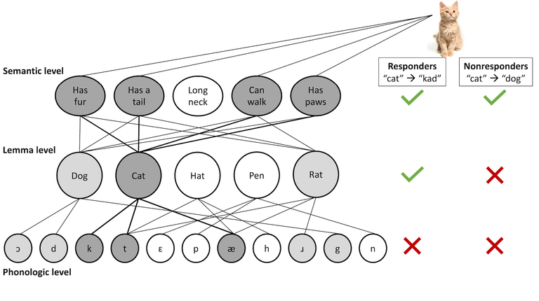 Semantic Level, Lemma Level, and Phonologic level processing