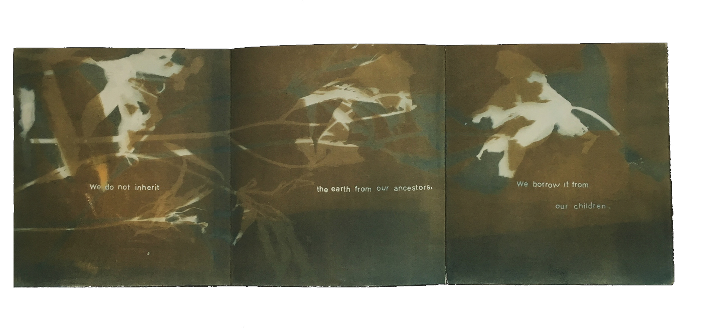 Laura Blacklow