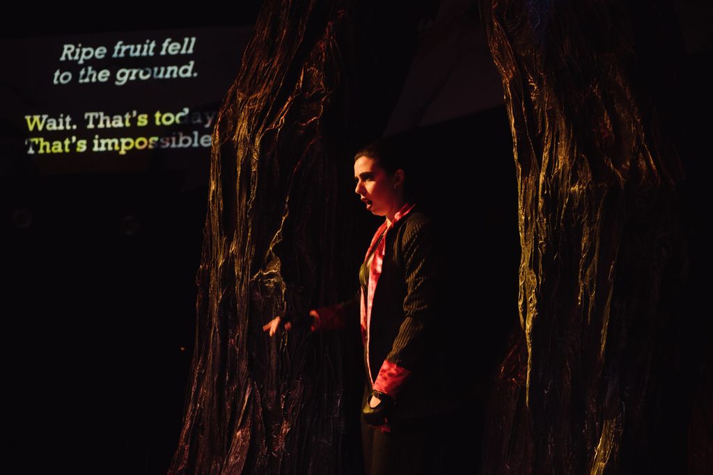 If I Were You opera production at Boston University's Booth Theatre