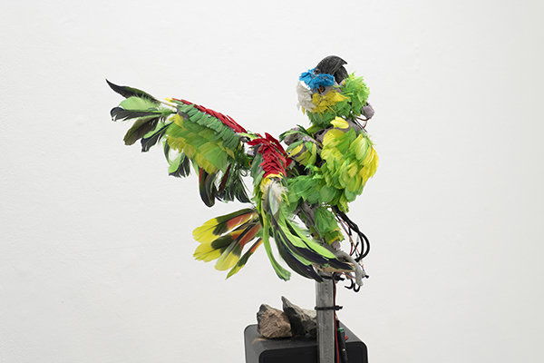Anoushé Shojae-Chaghorvand, Button (The Operation Itself), 2021. Photo by Jesse Meredith