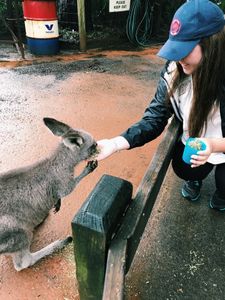 BU Study Abroad Sydney