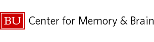 记忆中心 Brain