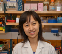 Dr. Na Tian Dr. Na Tian