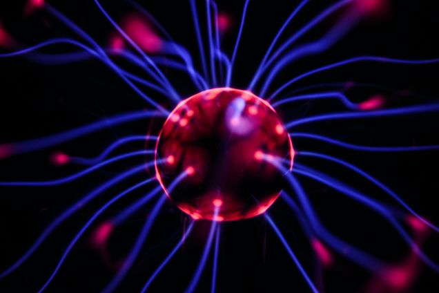 Neurons