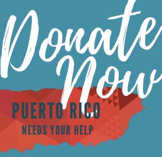Terriers for Puerto Rico Image