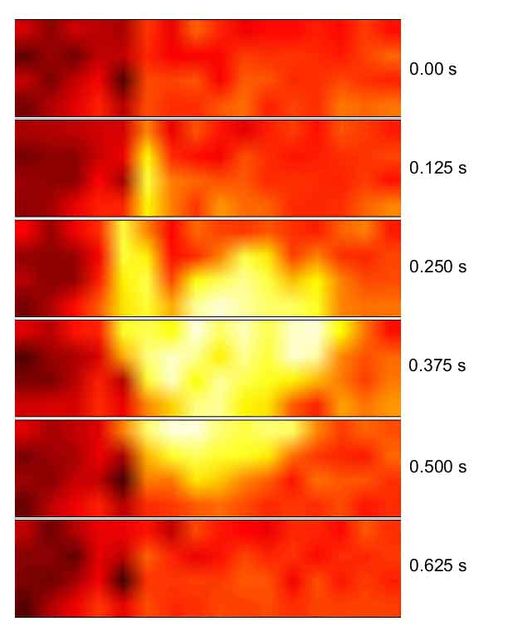 A series of time-lapse thermal door sensor data shows a person entering a room without revealing their identity. The thermal sensors can still gather occupancy data and also protect privacy when needed.