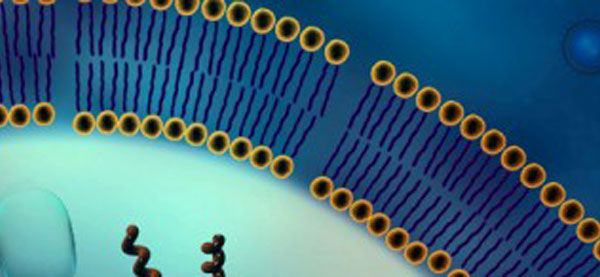 Nanomaterials