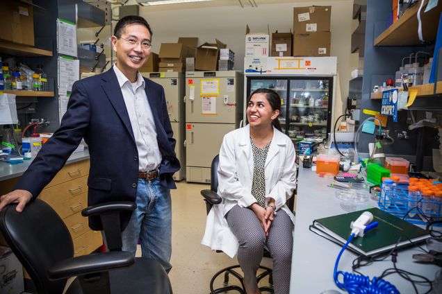 1/19/17 - Boston, Massachusetts ENG student Varnica Bajaj (BME19) with College of Engineering Professor Dr. Christopher Chen in a lab on January 19, 2017. Photo by Rachel Gianatasio for Elevin Studios for Boston University Photography