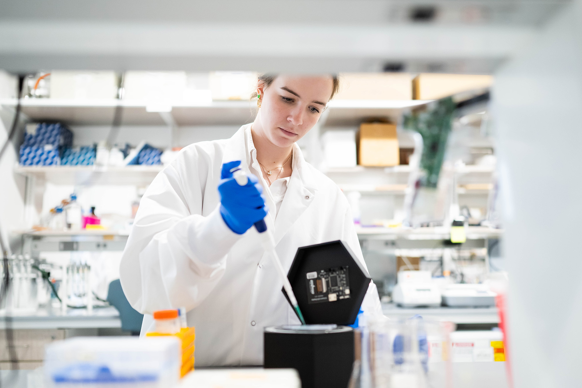 ENG student iGem