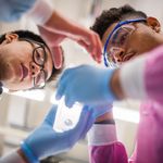 Danny Truong and Brandon Hector look at the same specimen in a lab.