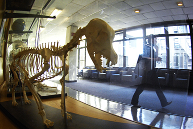 cu_07-2531-042.jpg