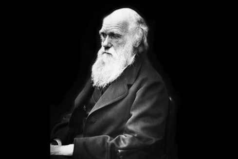 darwin.jpg
