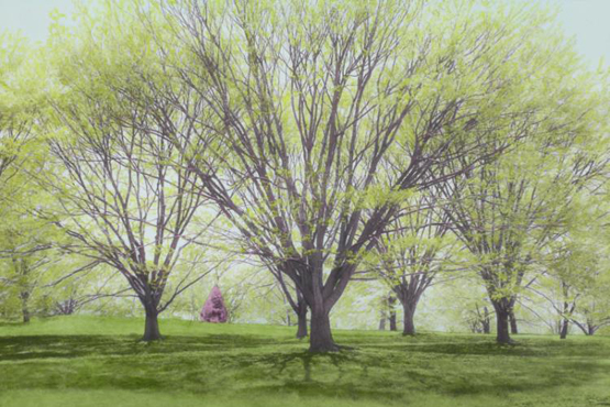 Spring_Grove_with_Small_Pink_Tree.jpg