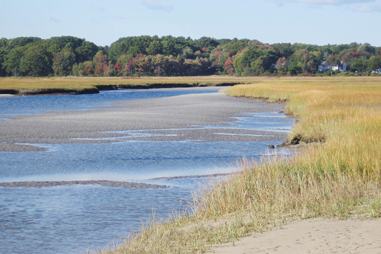 ogunquit_marsh_t.jpg