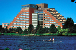 hyatt_1.jpg