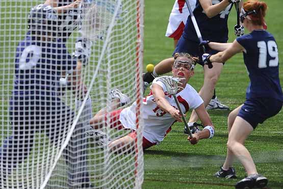 SAM_0611-goal_t.jpg