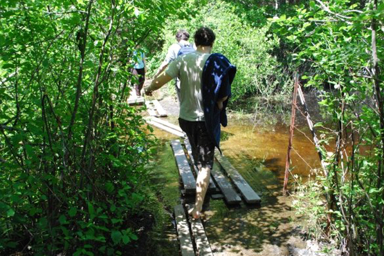 walden1_h.jpg