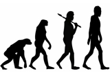 Genes to Memes, Greater Boston Darwin Bicentennial committee, Adrienne Yangas