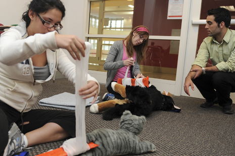 10-2954-DOGCPR-003_t.jpg