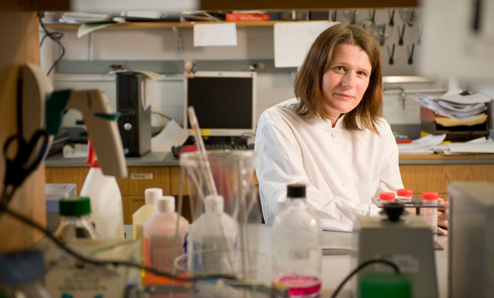 Elke Muhlberger, Boston University School of Medicine, MED, NEIDL, National Emerging Diseases Laboratories, ebola virus particles, ebola hemorrhagic fever, ebola virus disease, ebola virus ecology, ebola virus transmission