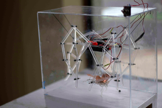 This kinetic sculpture by Taylor Mortell (CFA’16) was made with the assistance of students working at BU’s Engineering Product Innovation Center (EPIC). Photo by Esther Ro.
