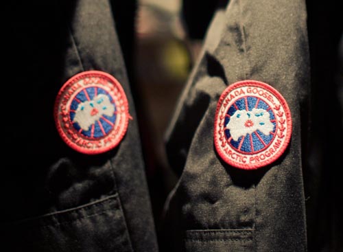 Canada Goose