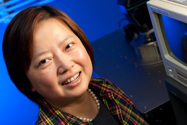 Xin Zhang