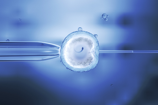 Fertility