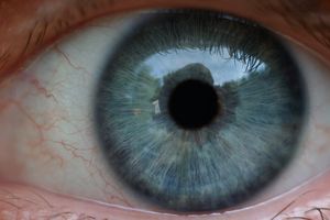 human eye, photo by Andy Langager