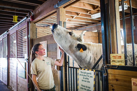 Photo of Hannah Keklak (CAS'11) zookeeper