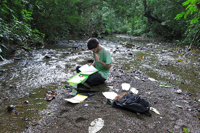 Jesse Delia during fieldwork on Rio Frijoles, Panama