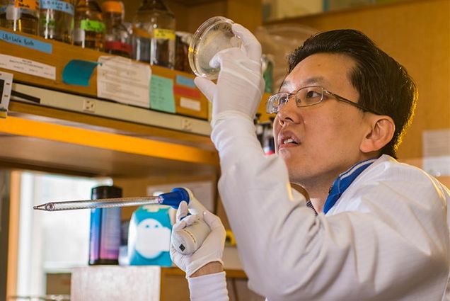 Wilson Wong, Boston University Biological Design Center
