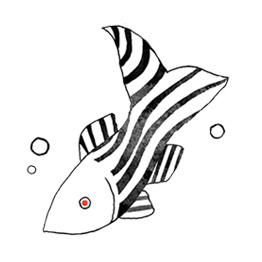 Zebrafish Illustration
