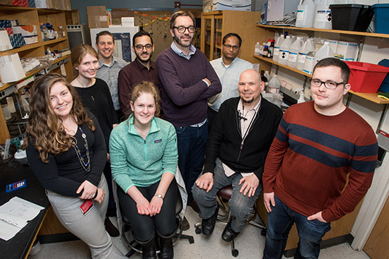 Binge eating genetics study researchers: Amanda Bolgioni (clockwise from left), Kim Luttik, W. Evan Johnson, a MED associate professor, Neema Yazdani, Camron Bryant, a MED assistant professor, Vivek Kumar of the Jackson Laboratory, Keith Babbs, a MED senior postdoctoral fellow, David Jenkins, and Lisa Goldberg.
