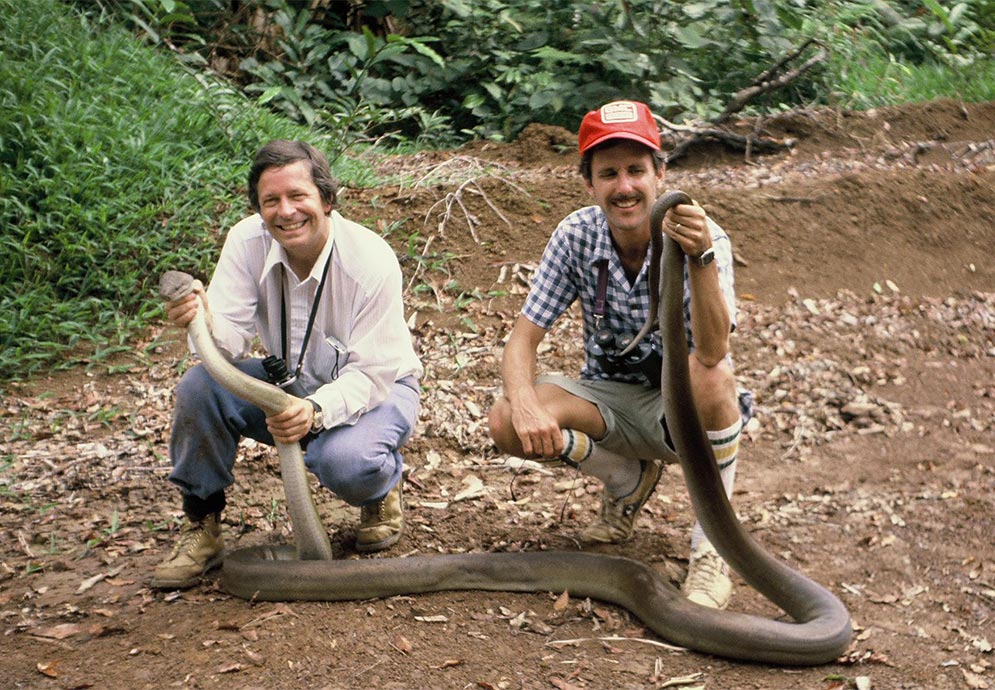 Ted Davis and colleague pose with a Papuan Python