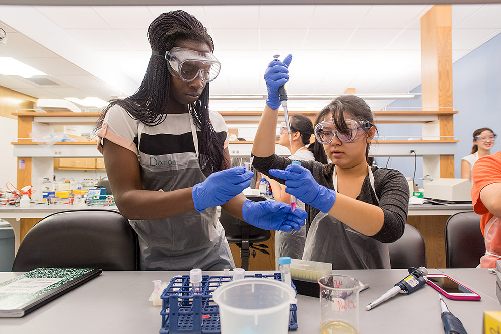 Oluwadara Okeremi and Kristin Nguyen working with lab equipment