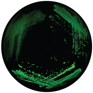 C ellular sensors image from a synthetic genetic tool called yTRAP