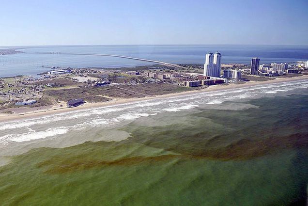 red tide