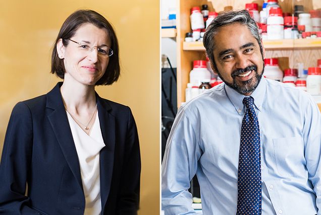 Veronika Wirtz, a School of Public Health (SPH) associate professor of global health, and Muhammad Zaman, a College of Engineering (ENG) professor of biomedical engineering at Boston University